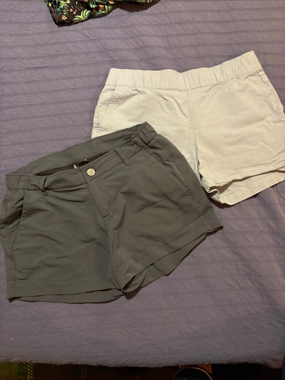 Free Fly Women’s Shorts